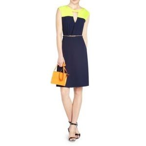 BCBG knee-length colorblock dress